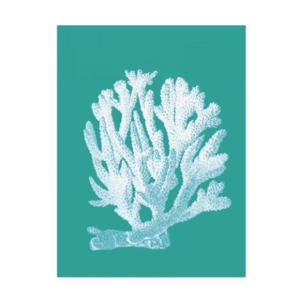 Fab Funky 'Coral 1 White On Turquoise' Canvas Art, 24x32, Trademark Fine Art, Mfr#: WAG12604-C2432GG